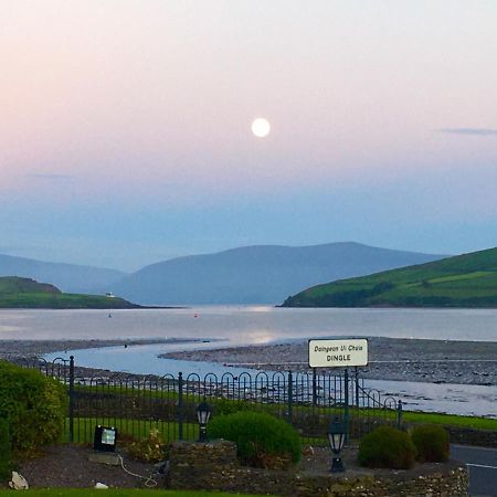 Bed and Breakfast Coastline House Dingle Zewnętrze zdjęcie